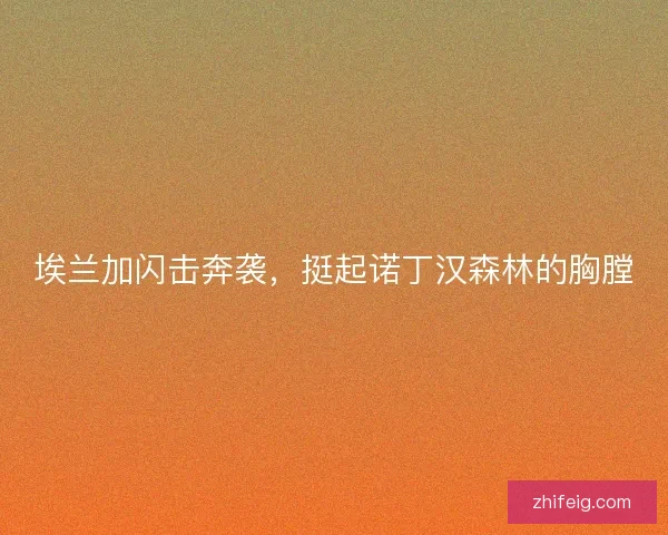 埃兰加闪击奔袭,挺起诺丁汉森林的胸膛 埃兰加闪击奔袭,挺起诺丁汉森林的胸膛