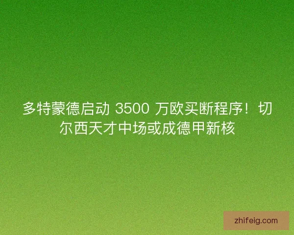多特蒙德启动 3500 万欧买断程序！切尔西天才中场或成德甲新核